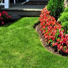 Enhancing Your Home's Curb Appeal with Landscape Renovation
