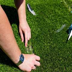 Effective Strategies for Repairing Damaged Turf Areas