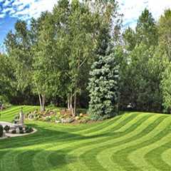 The Significance of Turf Management in Modern Landscaping
