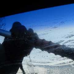 Enhance Property Comfort Post-Mold Inspection with Glass Tinting