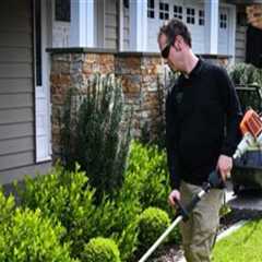 Lawn Care Services That Work Hand in Hand with Overall Home Upkeep
