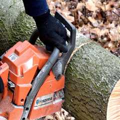 Professional Land Clearing Services in Virginia Beach