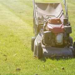 Enhance Your Home with Expert Lawn Care & Maid Services in Oakville