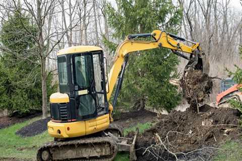 Understanding the Costs Involved in Tree Excavation