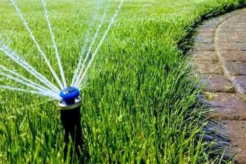 Incorporating Sustainable Irrigation Systems in Your Landscape Renovation