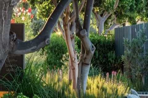 Creative Ways to Integrate Seating Areas into Your Landscape Renovation