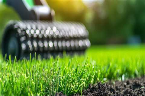 Understanding Overseeding: A Key Component of Effective Turf Management