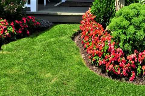 Enhancing Your Home's Curb Appeal with Landscape Renovation
