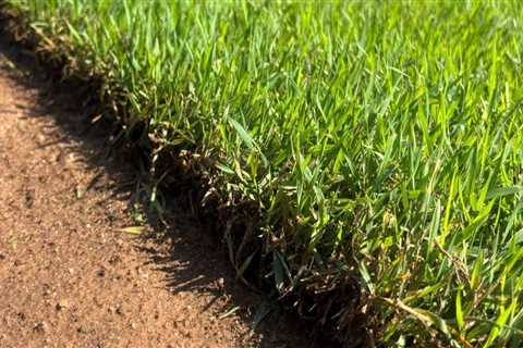 Assessing Turf Health: Key Metrics and Best Practices for Turf Management