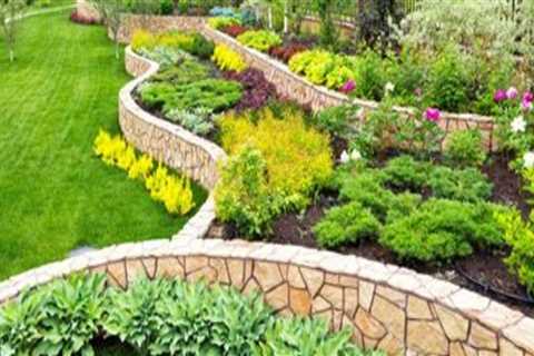 Exploring the Key Features of Landscape Renovation