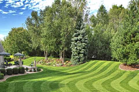 The Significance of Turf Management in Modern Landscaping