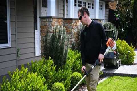 Lawn Care Services That Work Hand in Hand with Overall Home Upkeep