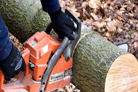 Professional Land Clearing Services in Virginia Beach