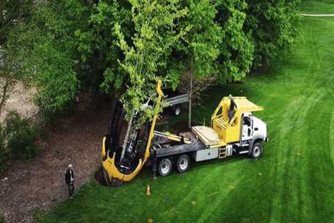 Enhance Property Value with Tree Maintenance & Appliance Hauling