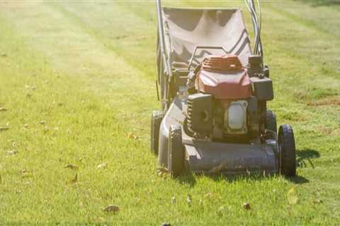 Enhance Your Home with Expert Lawn Care & Maid Services in Oakville