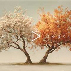 Growing old together | Piano Playlist