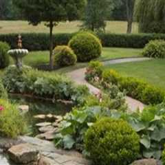 Incorporating Water Features into Hardscape Design: A Harmonious Approach