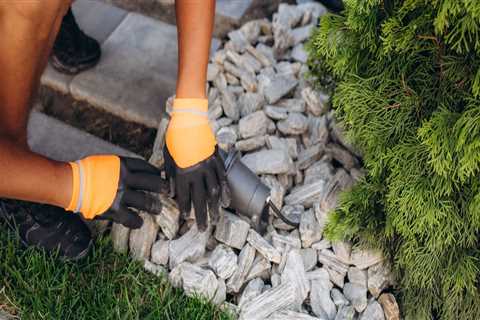 Essential Maintenance Tasks for Hardscape Features: A Complete Guide